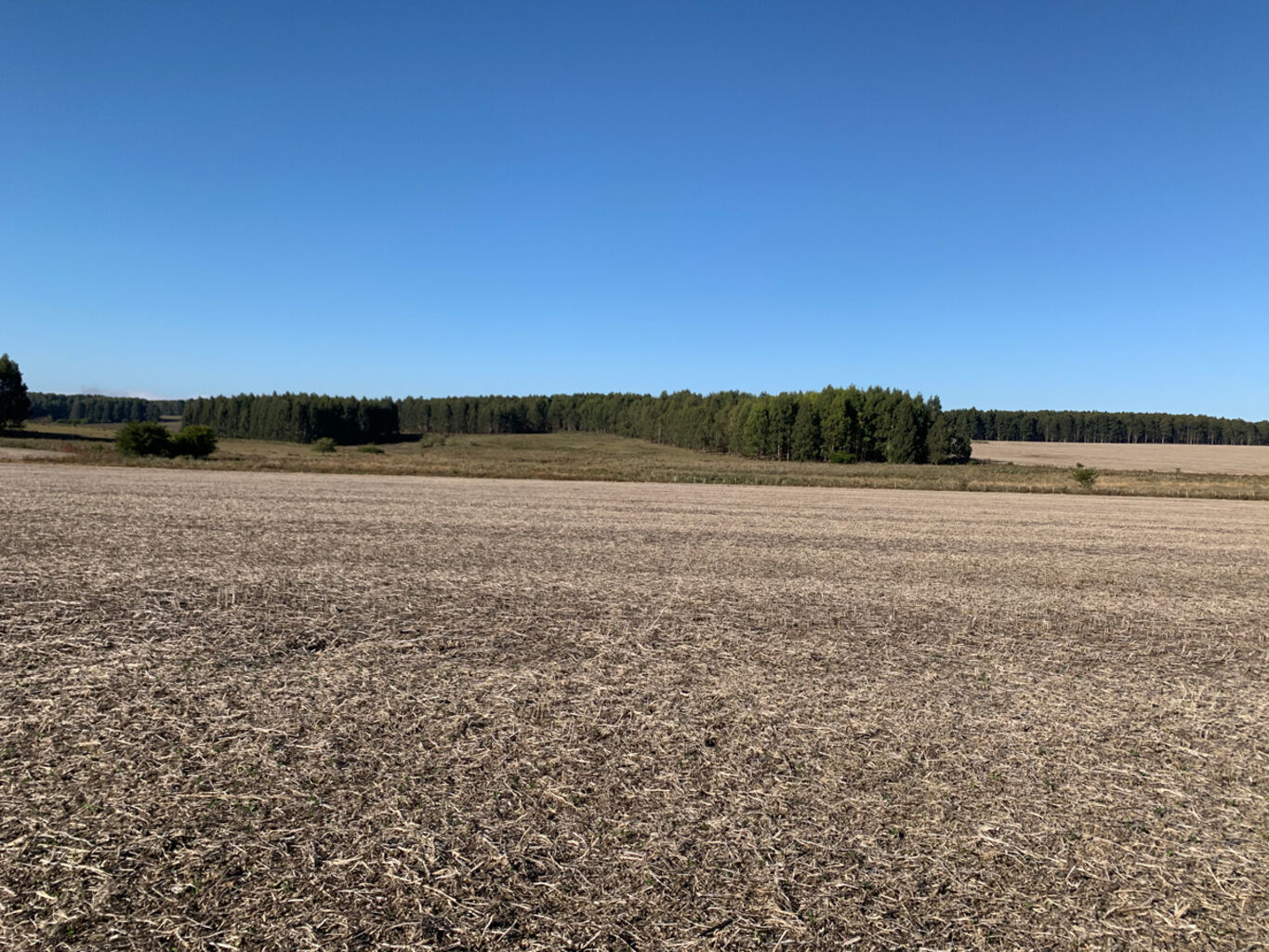 Campo en Rio Negro — imagen 5