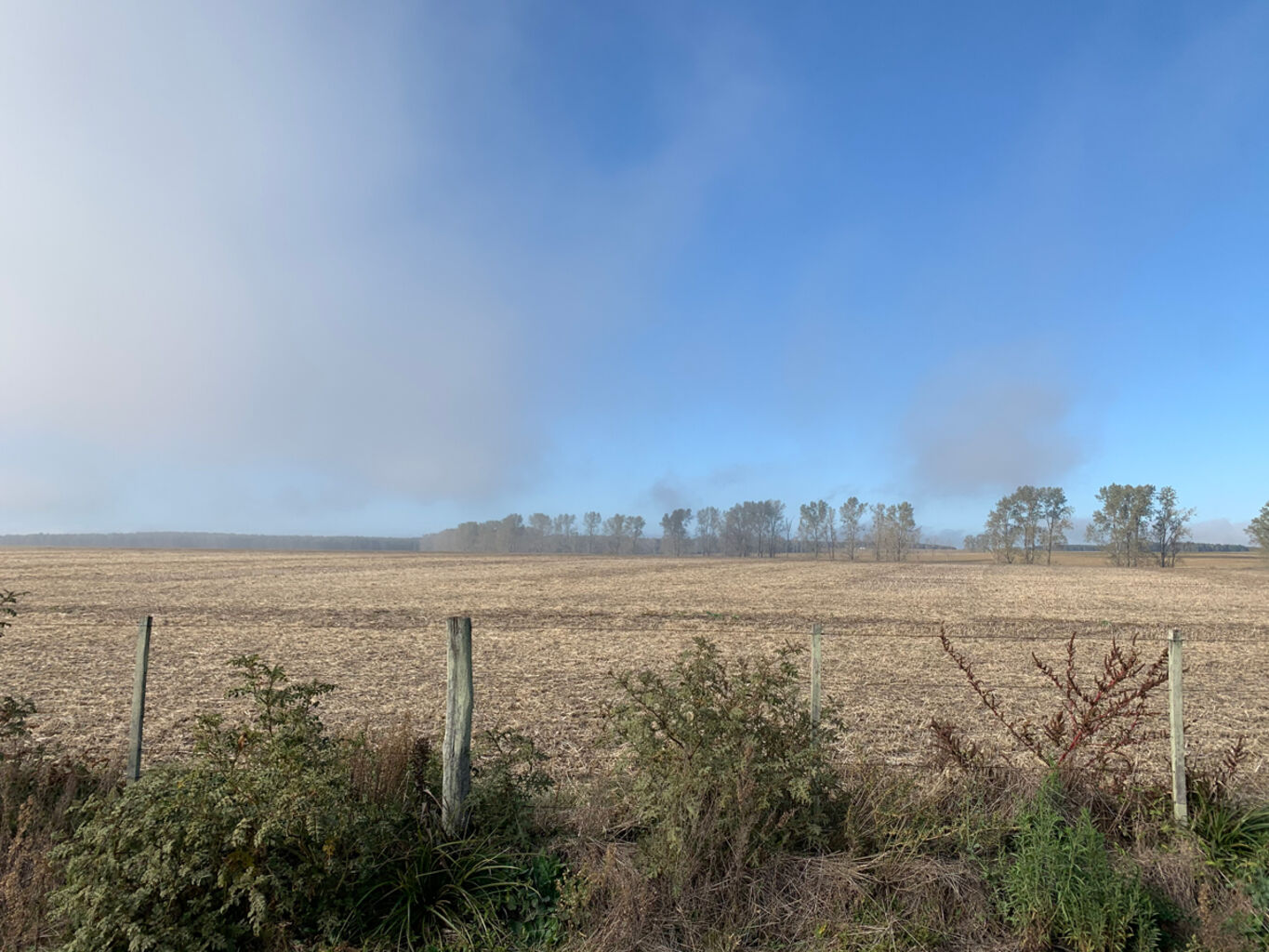 Campo en Rio Negro — imagen 6