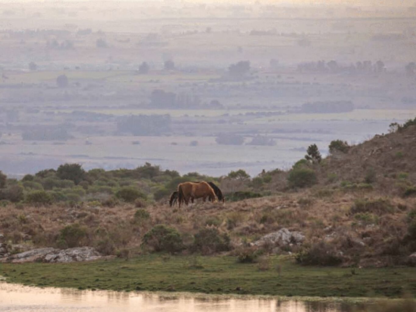 Lote en Chacras de las Sierras — imagen 3