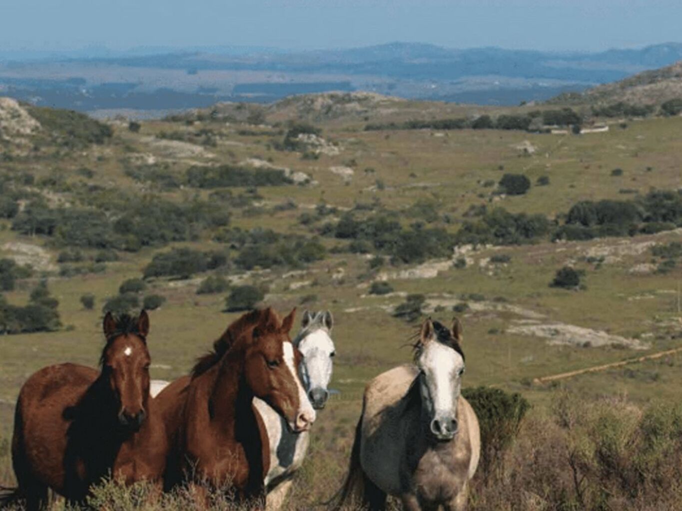 Lote en Chacras de las Sierras — imagen 4