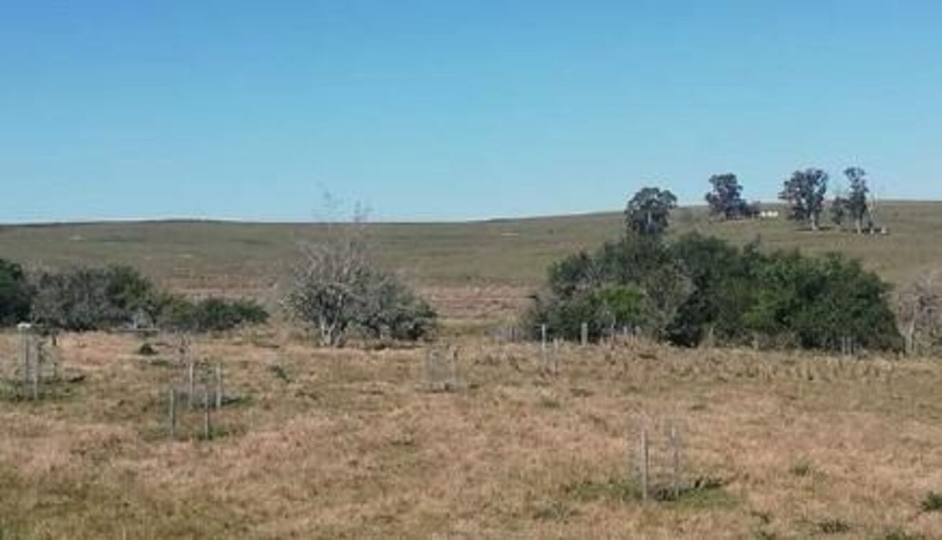 Campo en Lavalleja — imagen 5