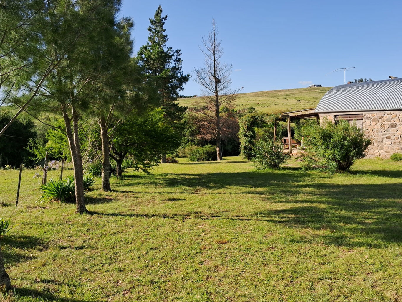 Chacra en Lavalleja — imagen 9