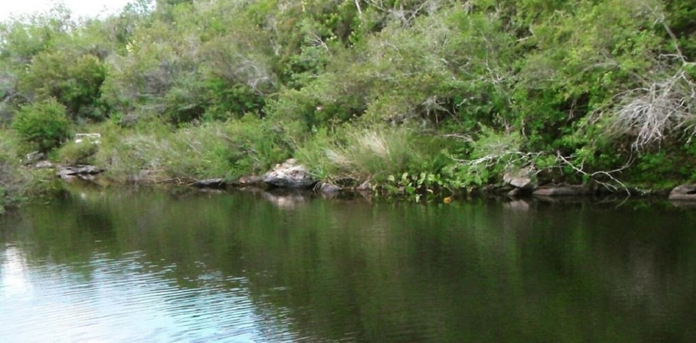 Campo en Lavalleja — imagen 2