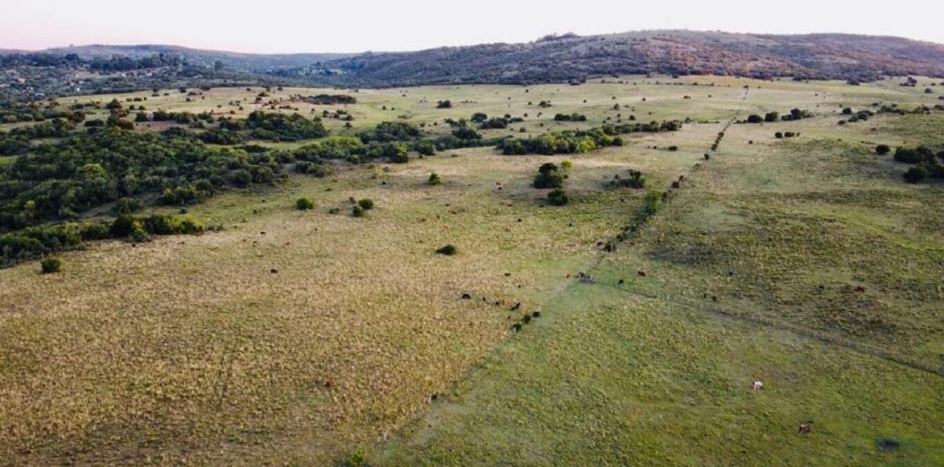 Campo en Lavalleja — imagen 3