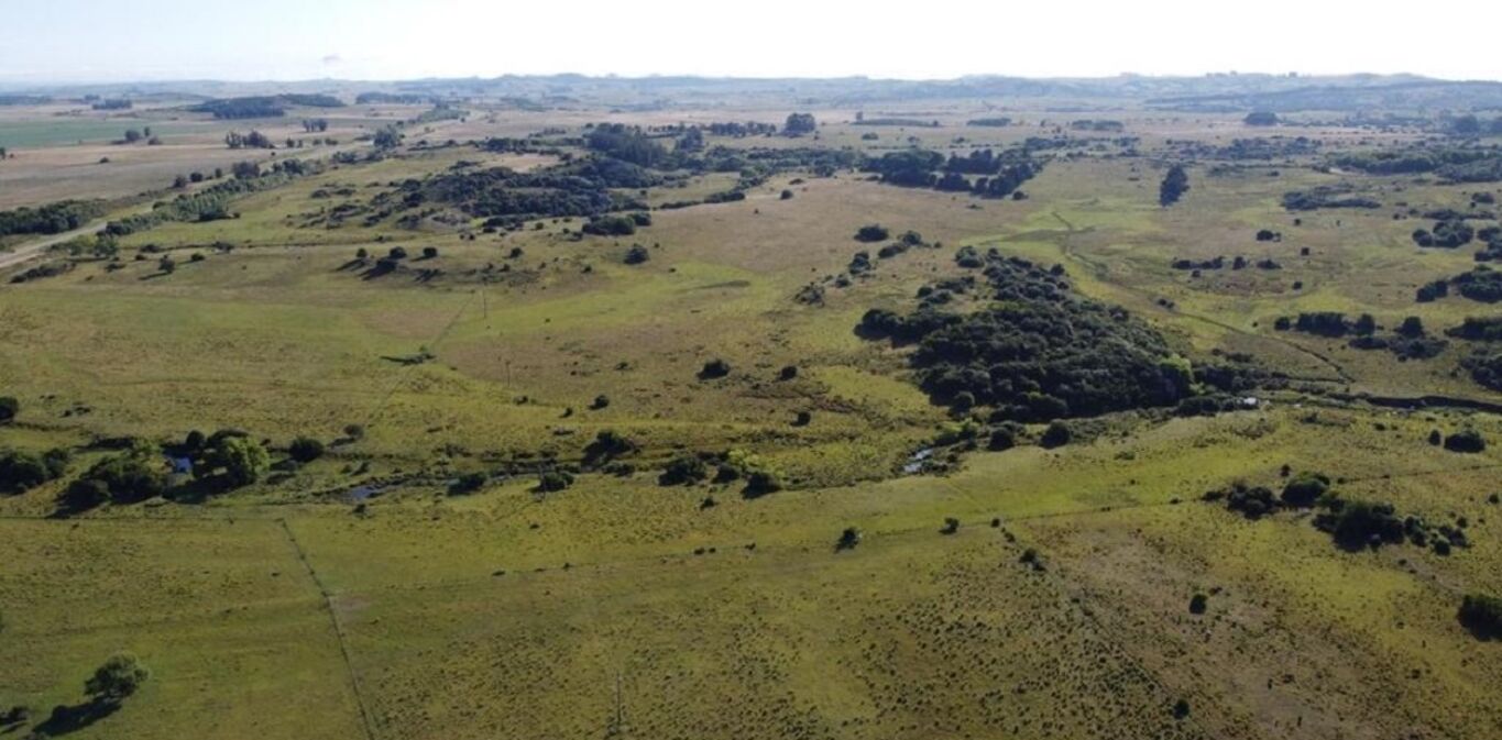 Campo en Lavalleja — imagen 5
