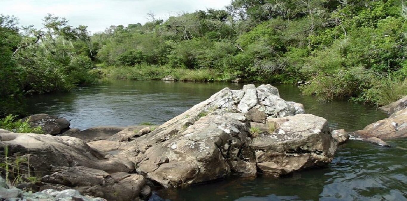 Campo en Lavalleja — imagen 6