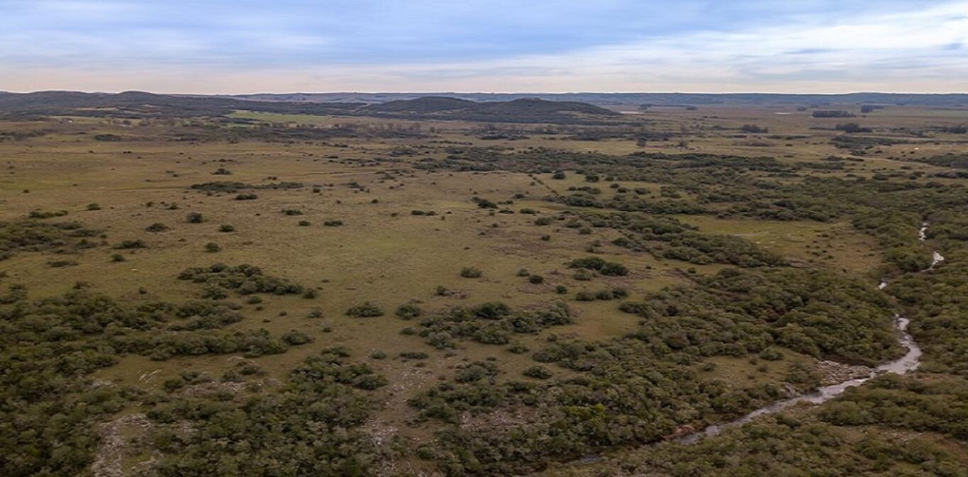 Campo en Lavalleja — imagen 7