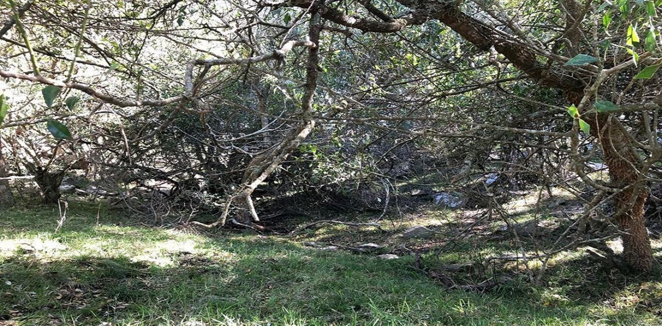 Campo en Lavalleja — imagen 8