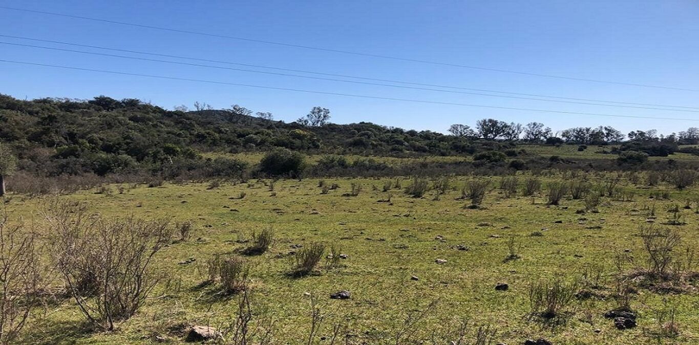Campo en Lavalleja — imagen 9