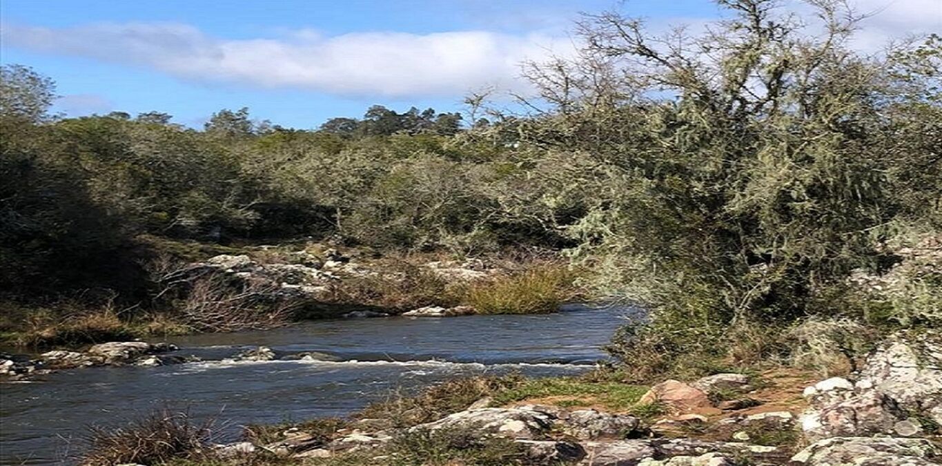 Campo en Lavalleja — imagen 10