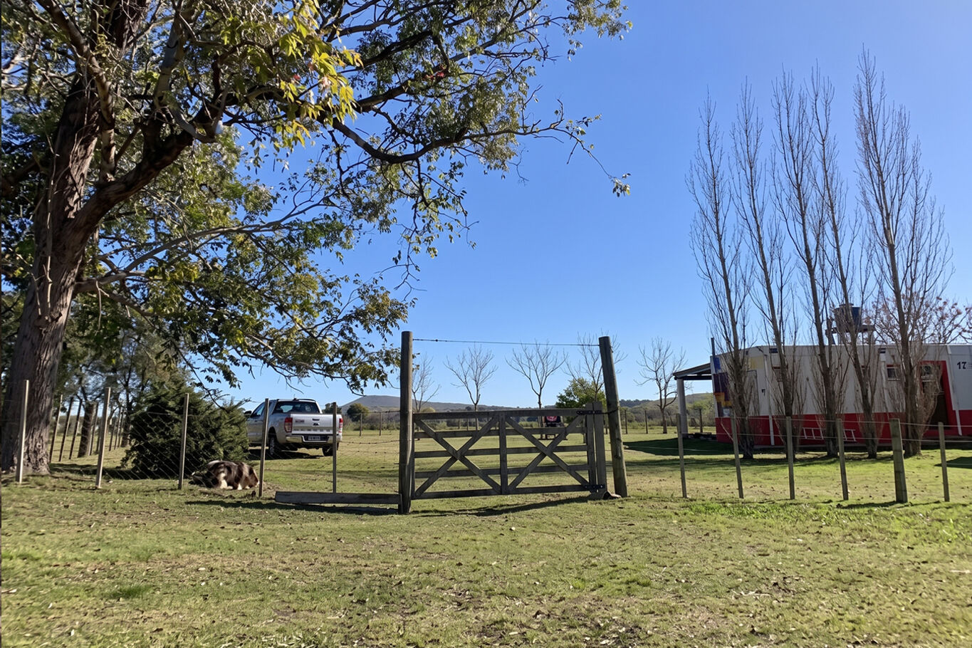 Campo en Venta en Lavalleja, Próximo a Mariscala — imagen 6