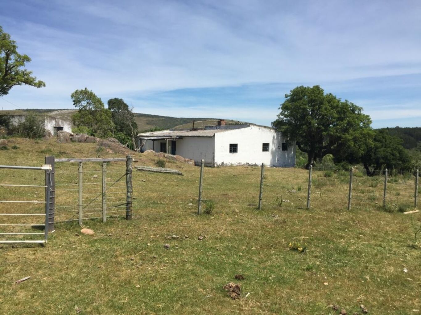 Campo en Lavalleja — imagen 2