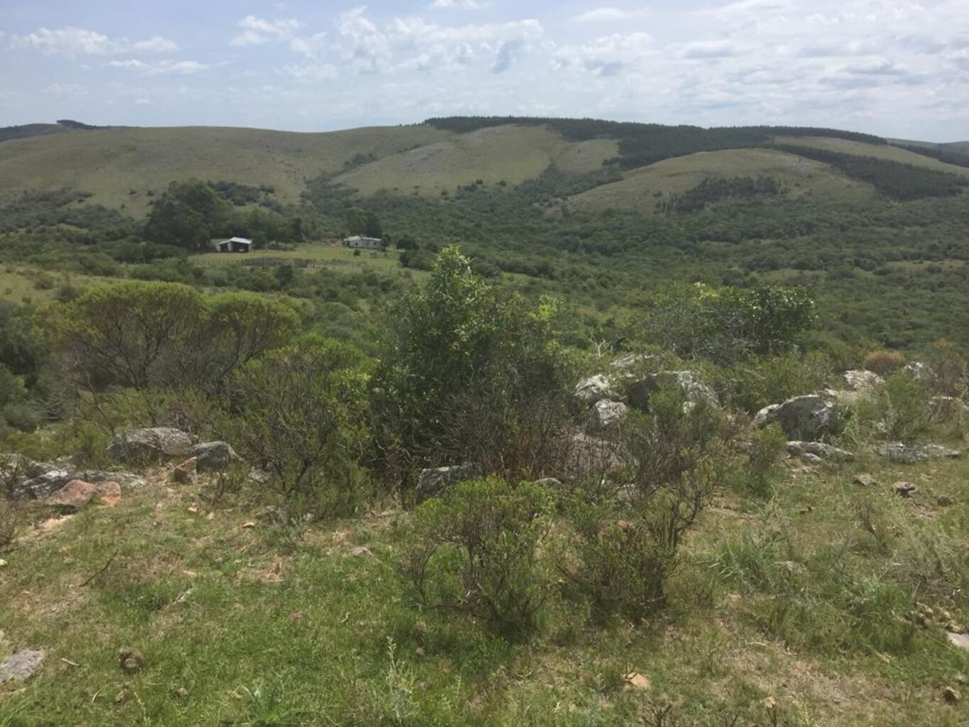 Campo en Lavalleja — imagen 3