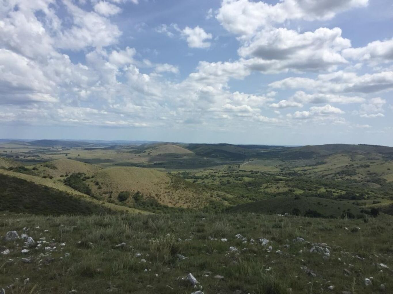 Campo en Lavalleja — imagen 4