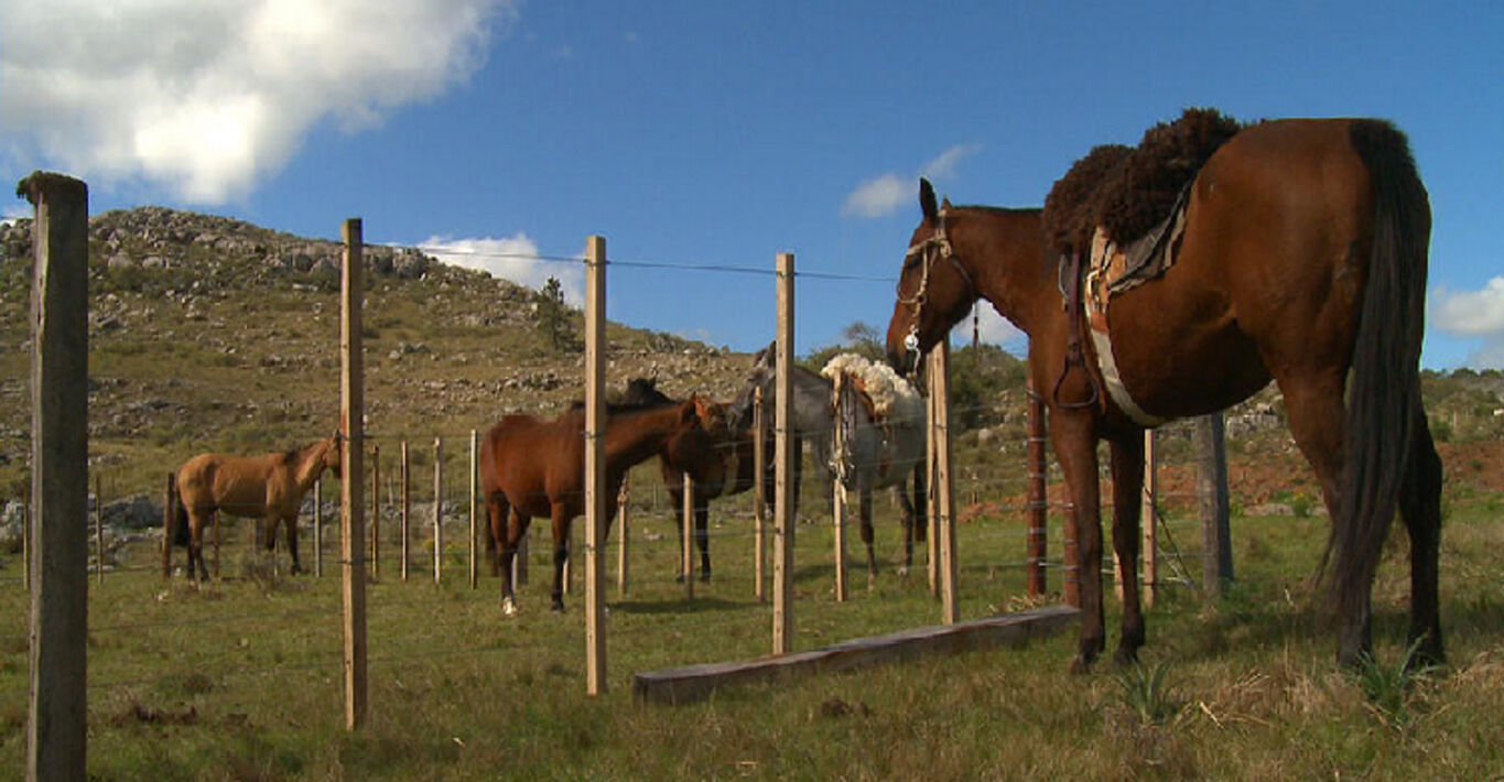 Chacras de las Sierras