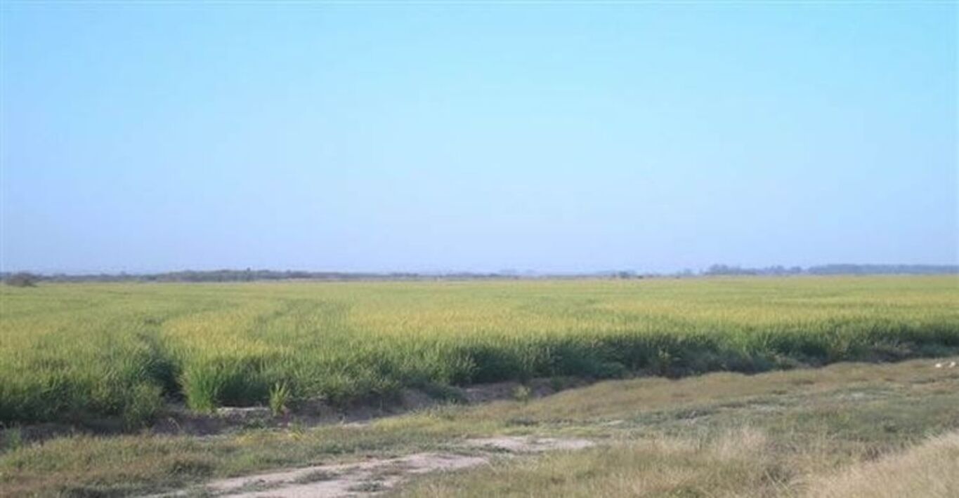 Estancia "La Espadaña"