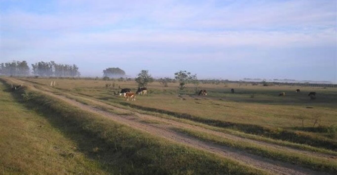 Estancia "La Espadaña" — imagen 5