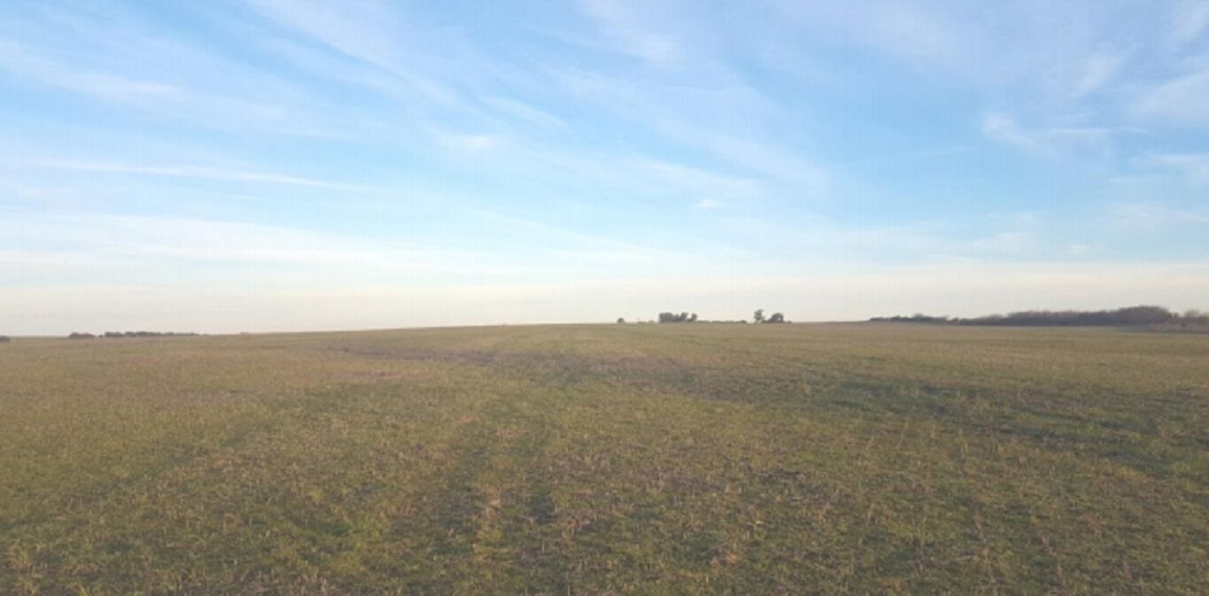 Campo en Soriano — imagen 2