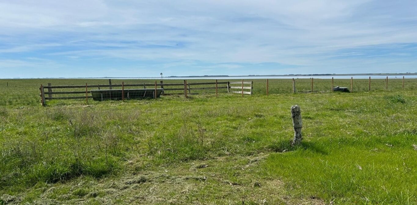 Campo en Durazno — imagen 4