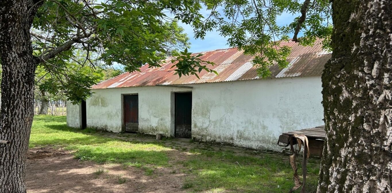 Campo en Durazno — imagen 5