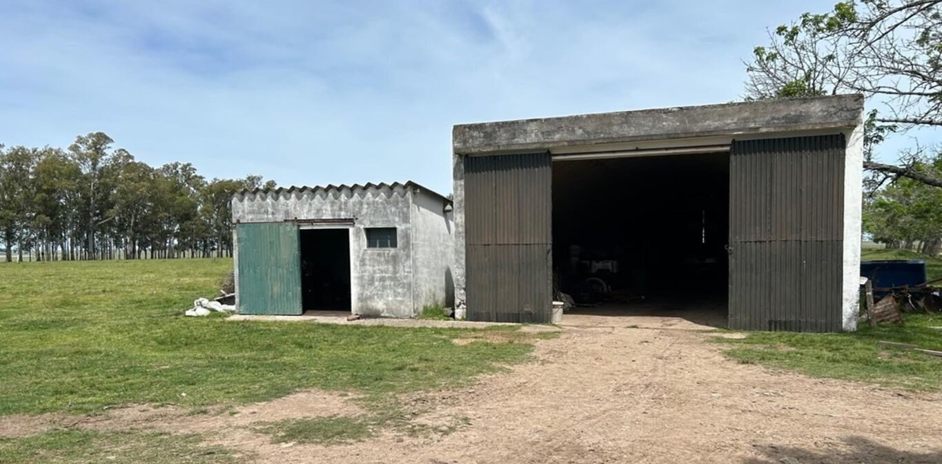Campo en Durazno — imagen 6