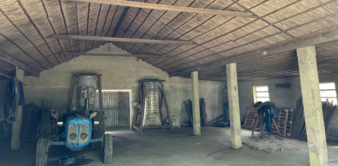 Campo en Durazno — imagen 8