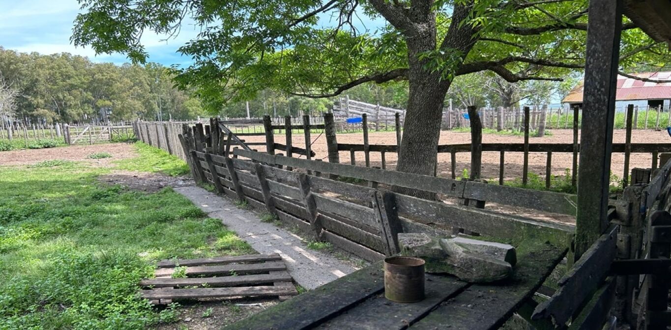 Campo en Durazno — imagen 9