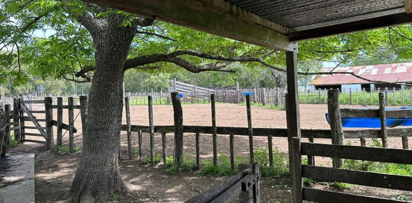 Campo en Durazno — imagen 10