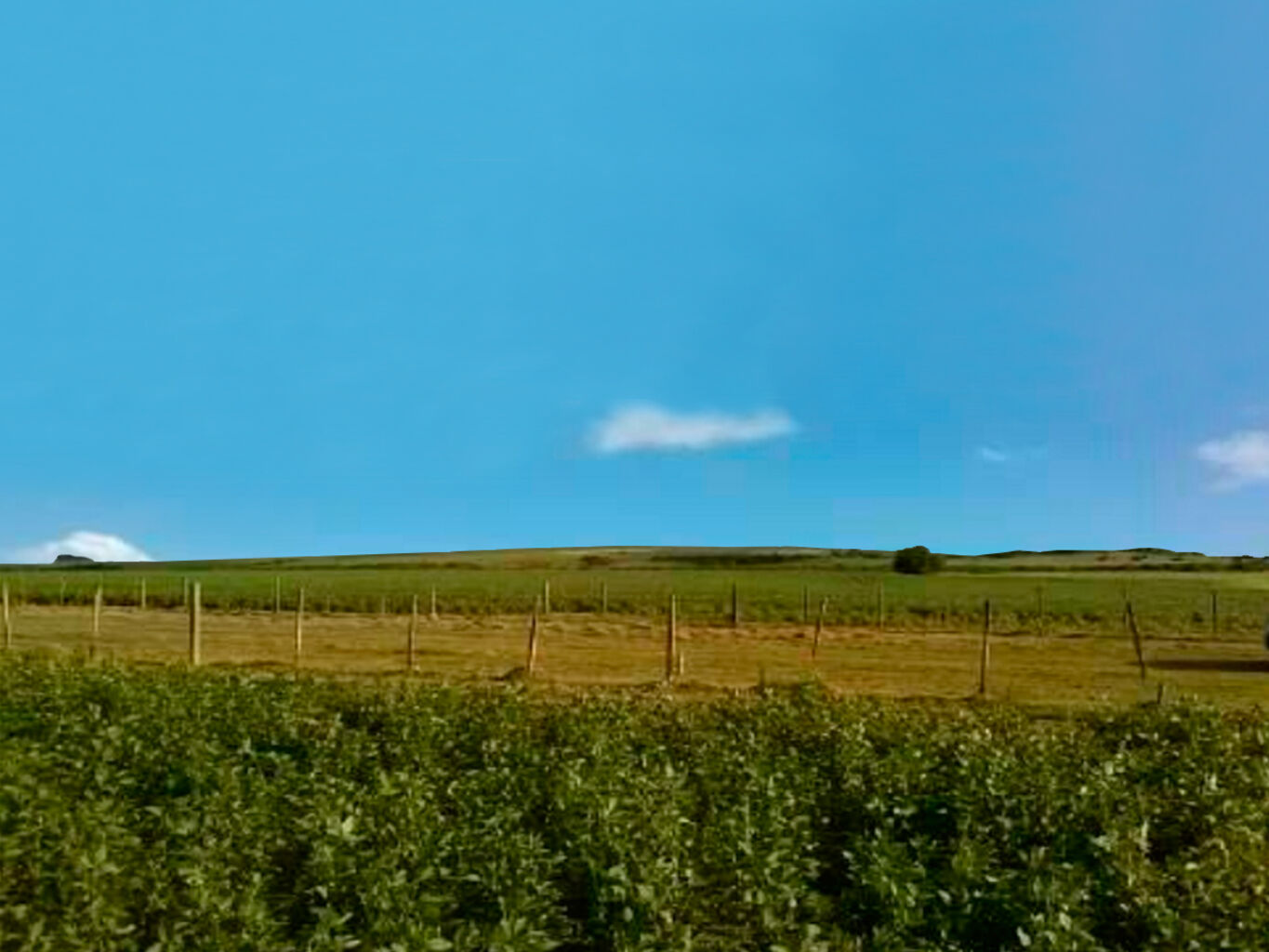 Campo en Durazno — imagen 3