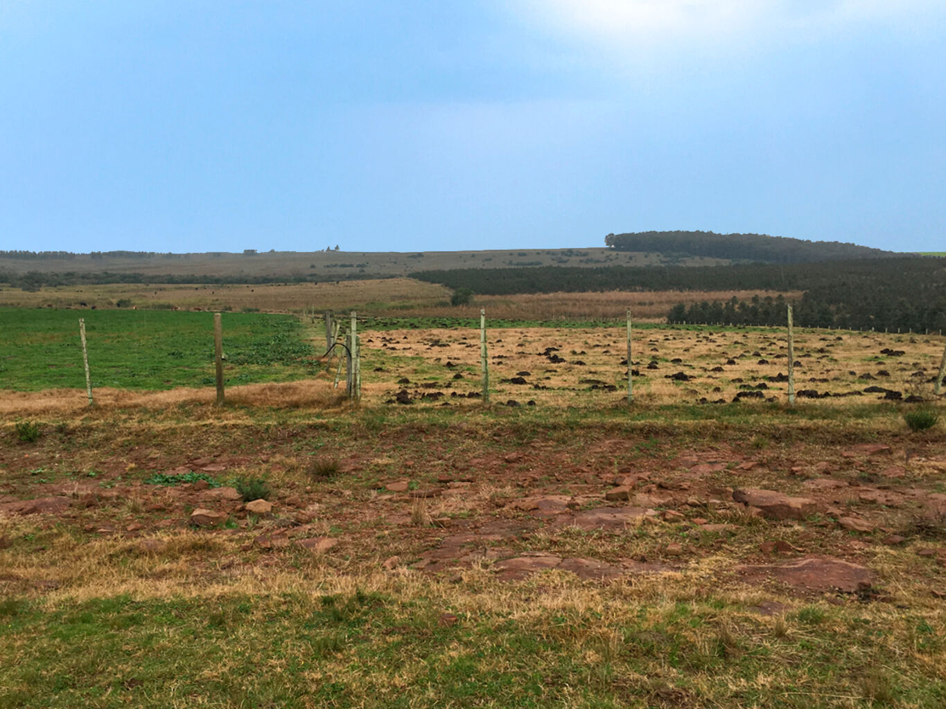 Campo en Durazno — imagen 4
