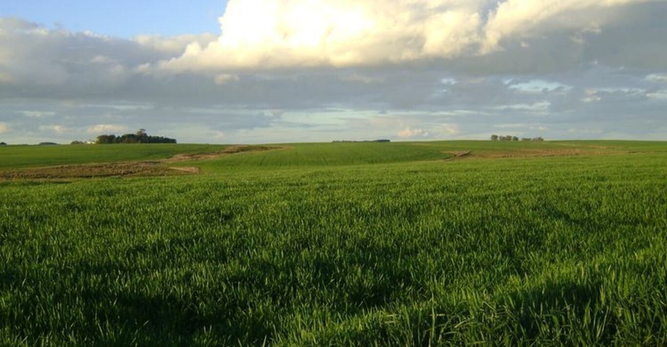 Campo en Durazno con Renta
