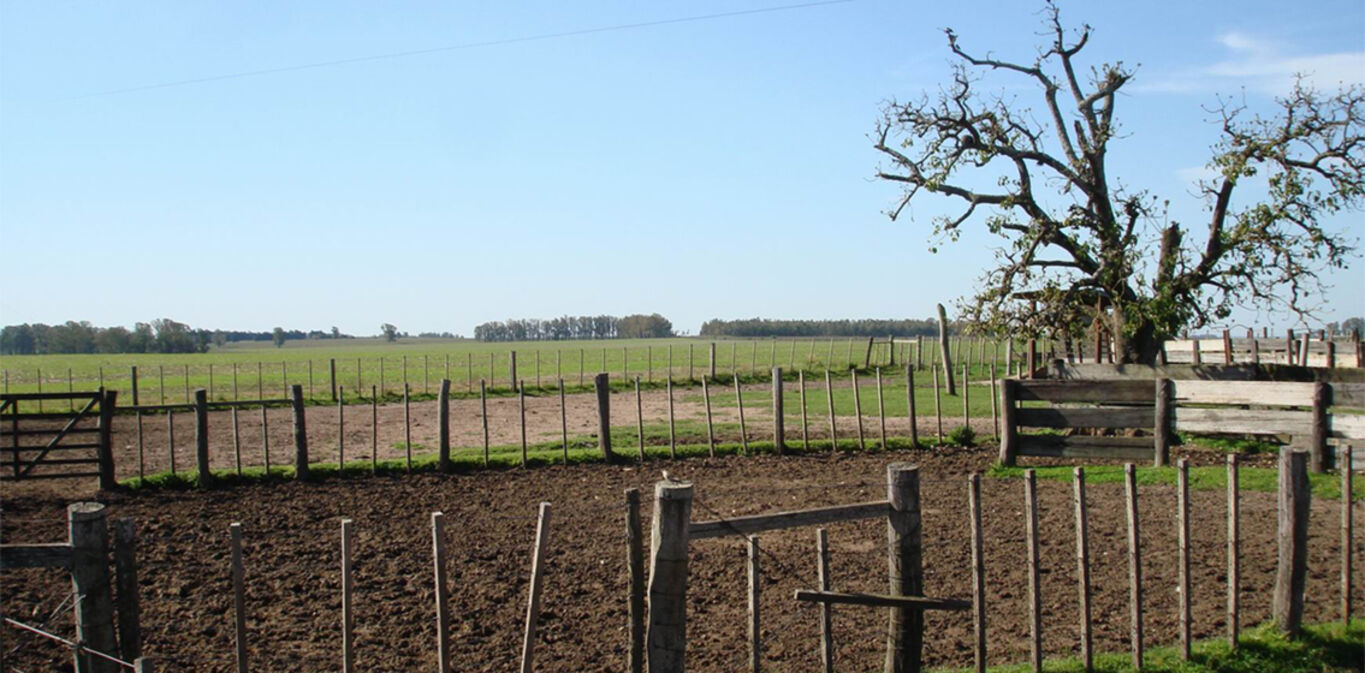 Campo en Durazno — imagen 4