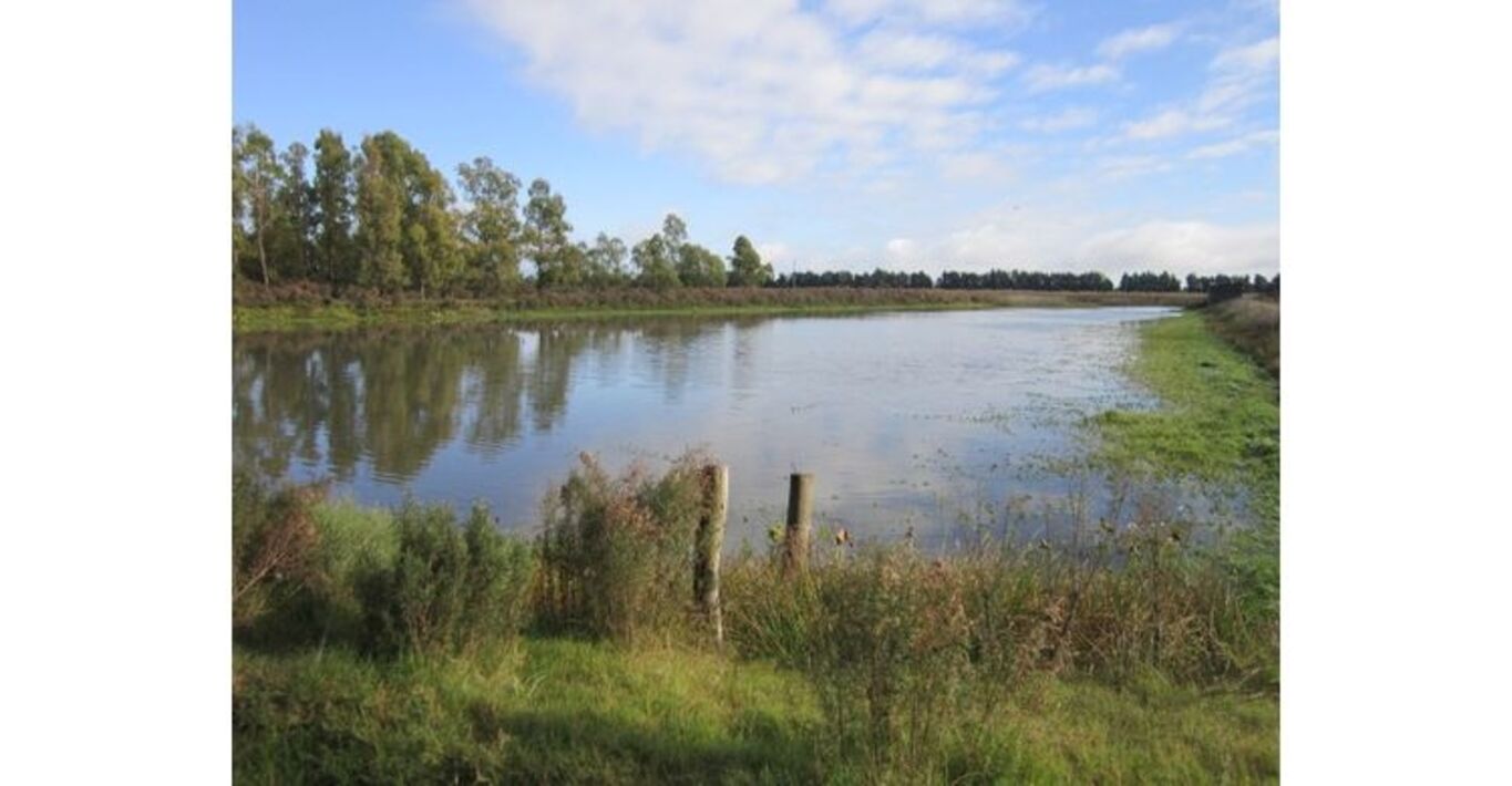 Campo Ganadero Agrícola "Los Caballos"
