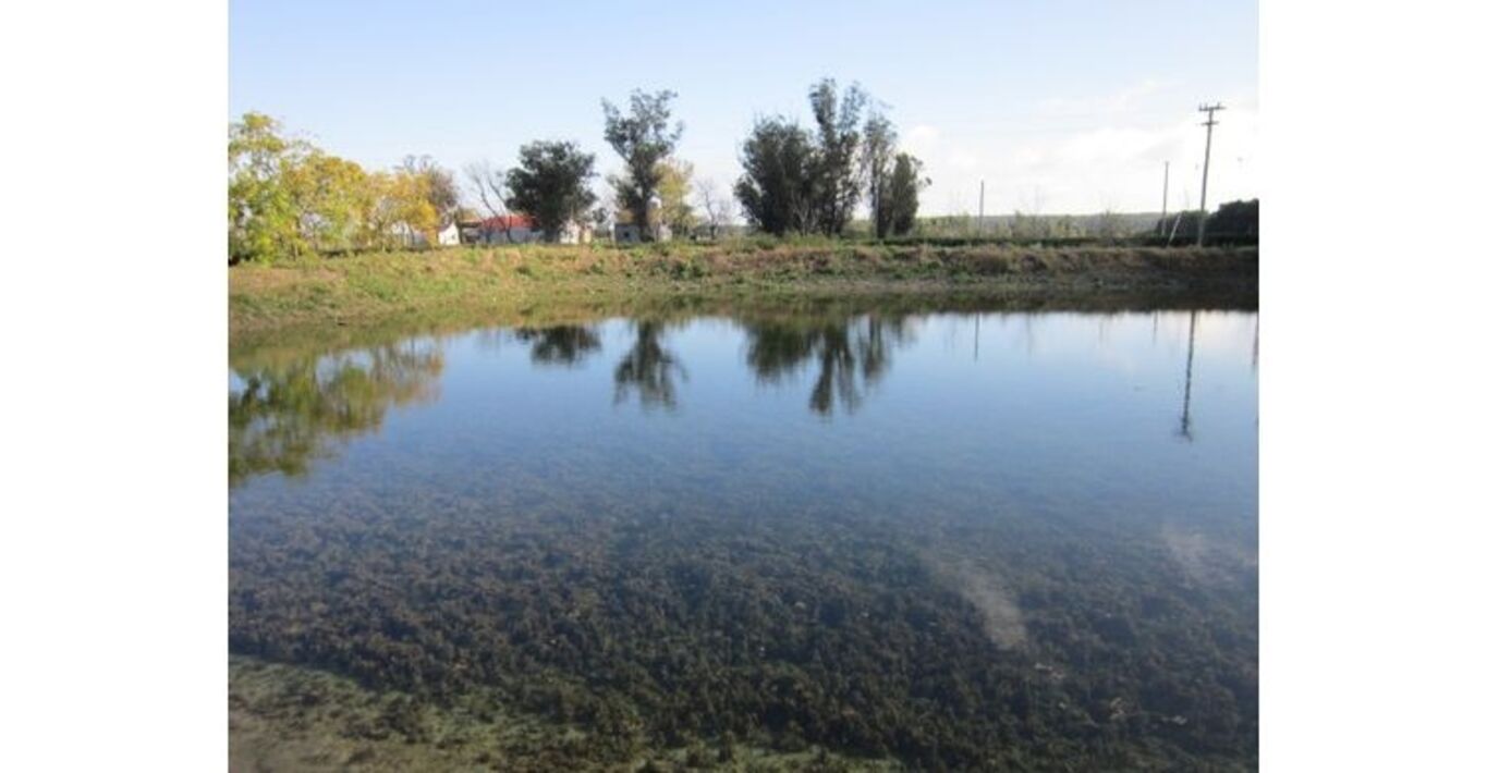 Campo Ganadero Agrícola "Los Caballos" — imagen 2
