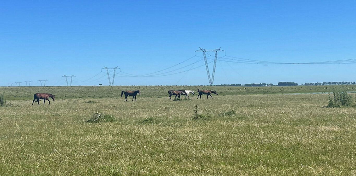 Campo en Tacuarembó — imagen 2