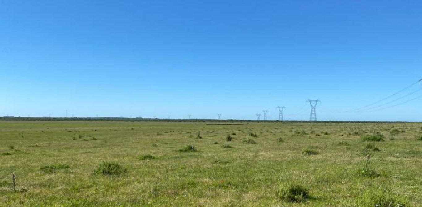 Campo en Tacuarembó — imagen 3