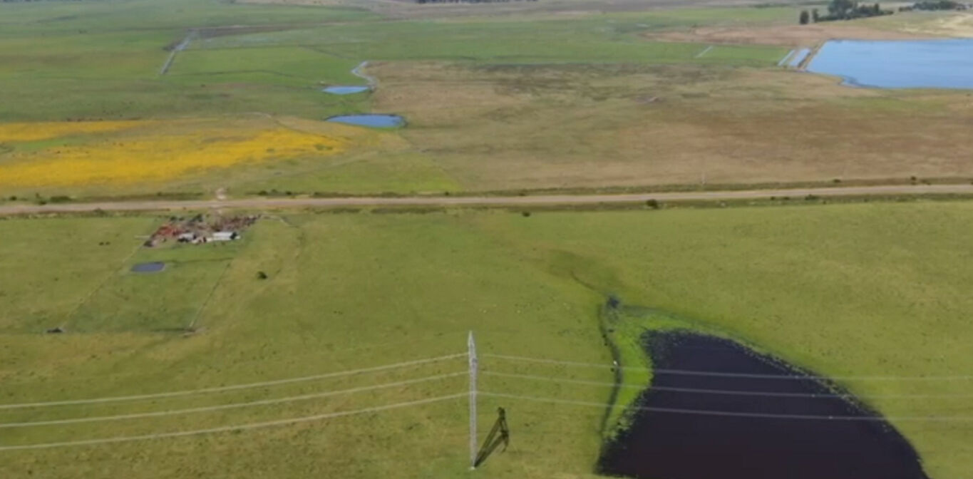 Campo en Tacuarembó