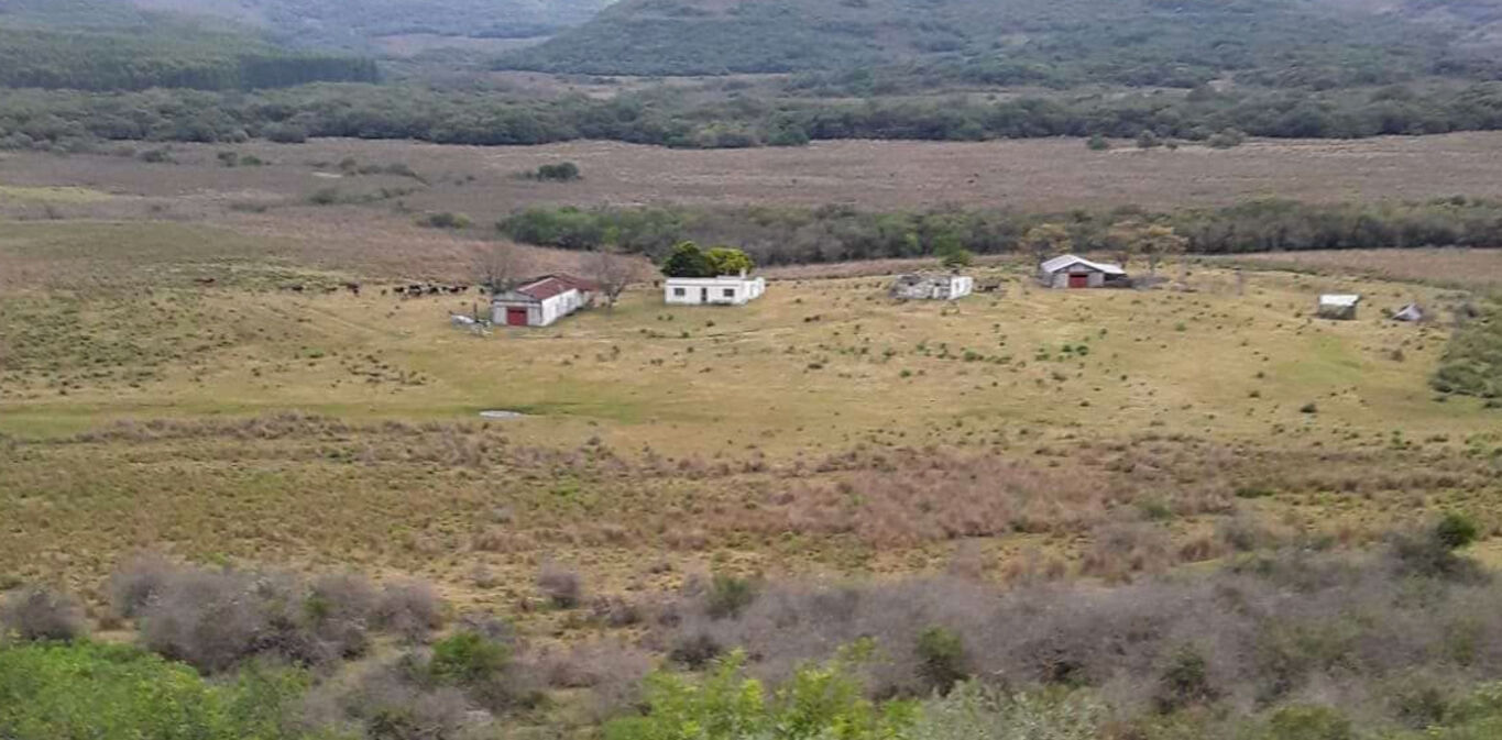 Campo en Tacuarembó