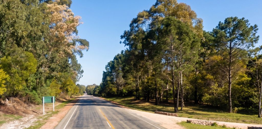 Terreno en las Cumbres — imagen 4