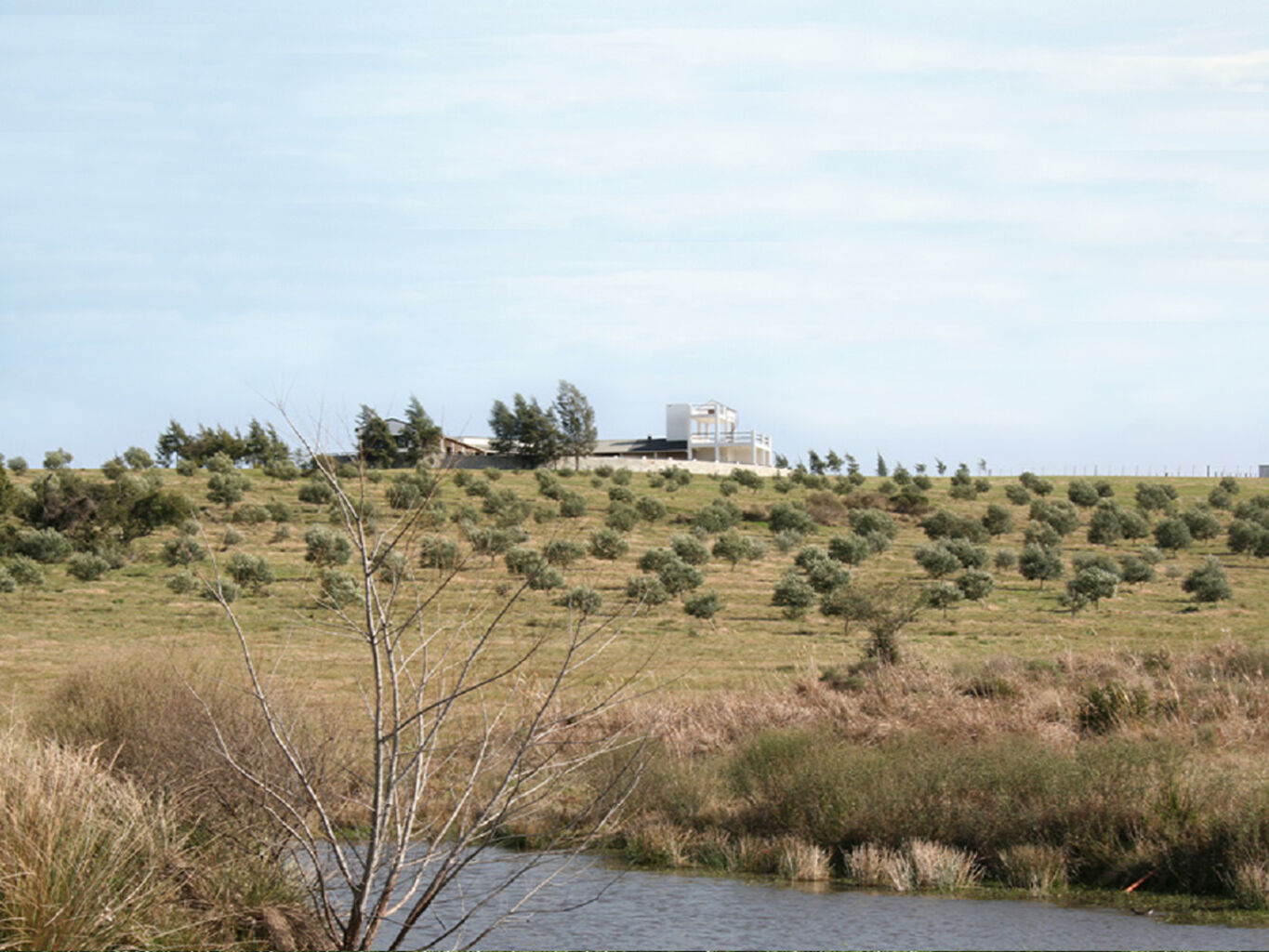 Campo en Maldonado — imagen 4