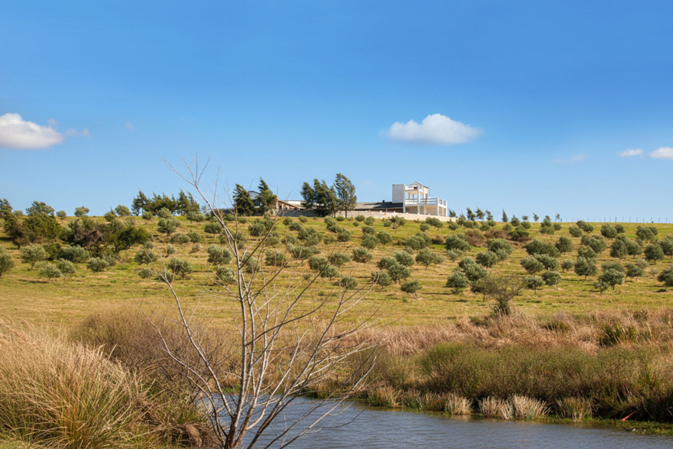 Campo en Maldonado — imagen 5