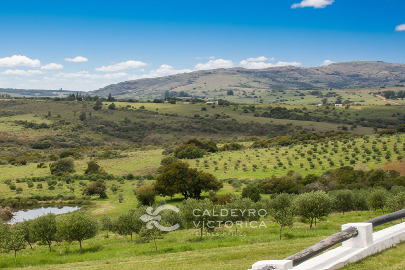Campo en Maldonado — imagen 8