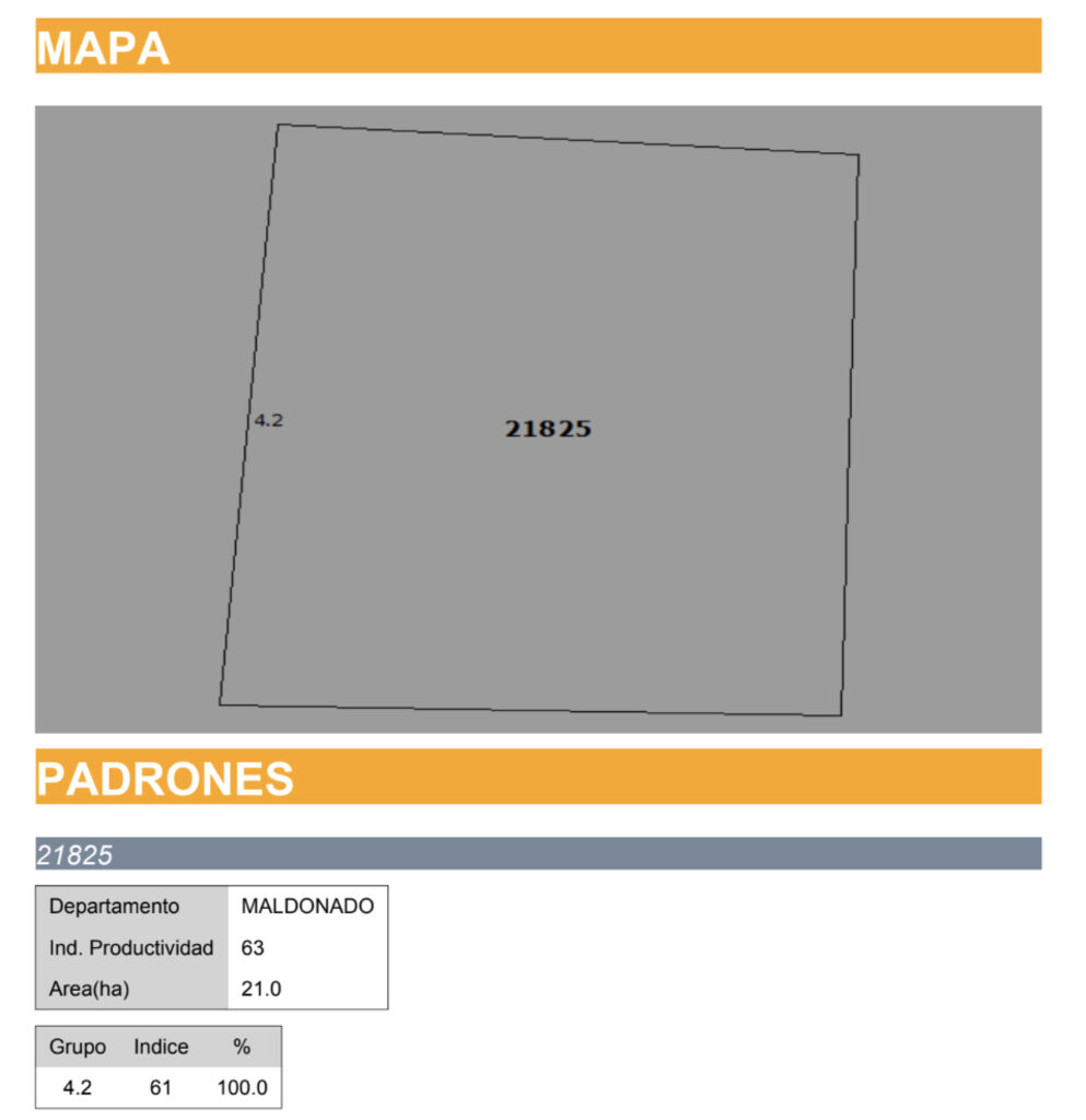 Chacra en Maldonado Próxima a José Ignacio — imagen 4
