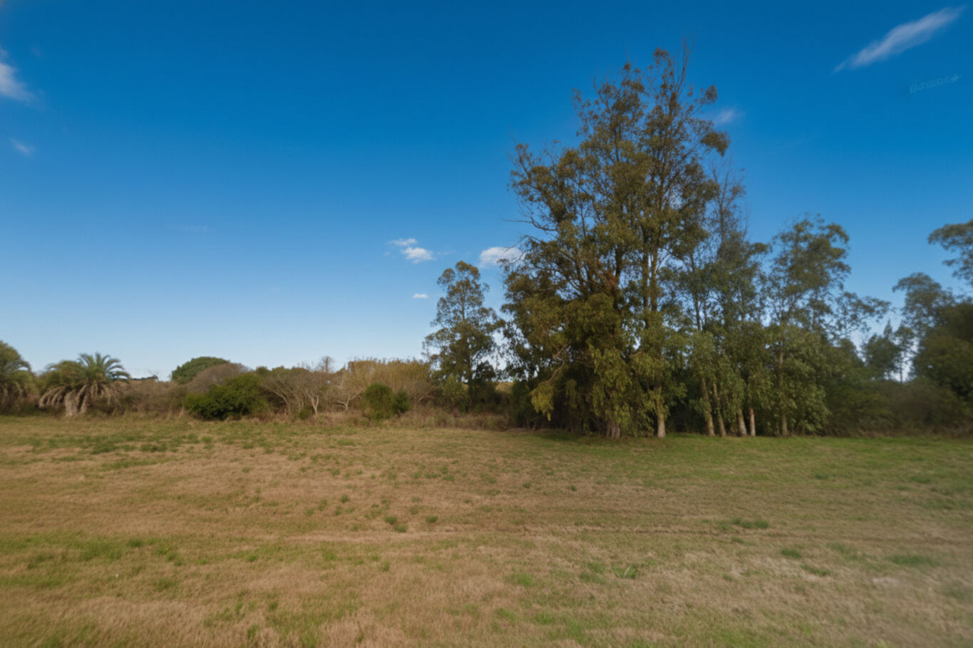 Chacra en Maldonado Próxima a José Ignacio — imagen 5