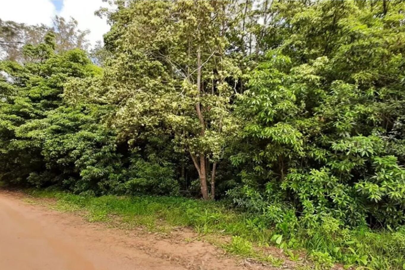 Terrenos en Laguna del Sauce — imagen 3