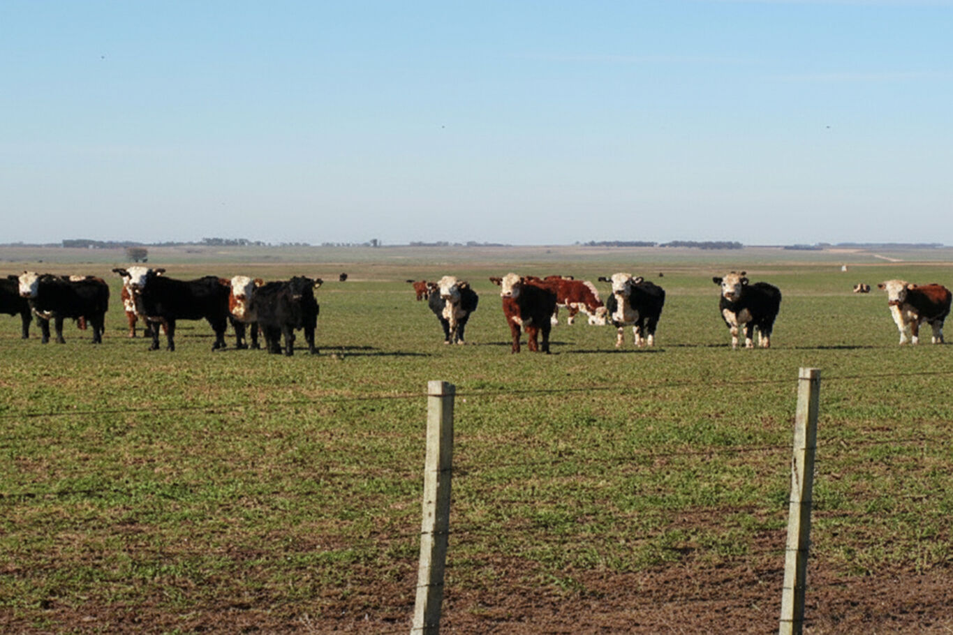 Campo en Tacuarembo