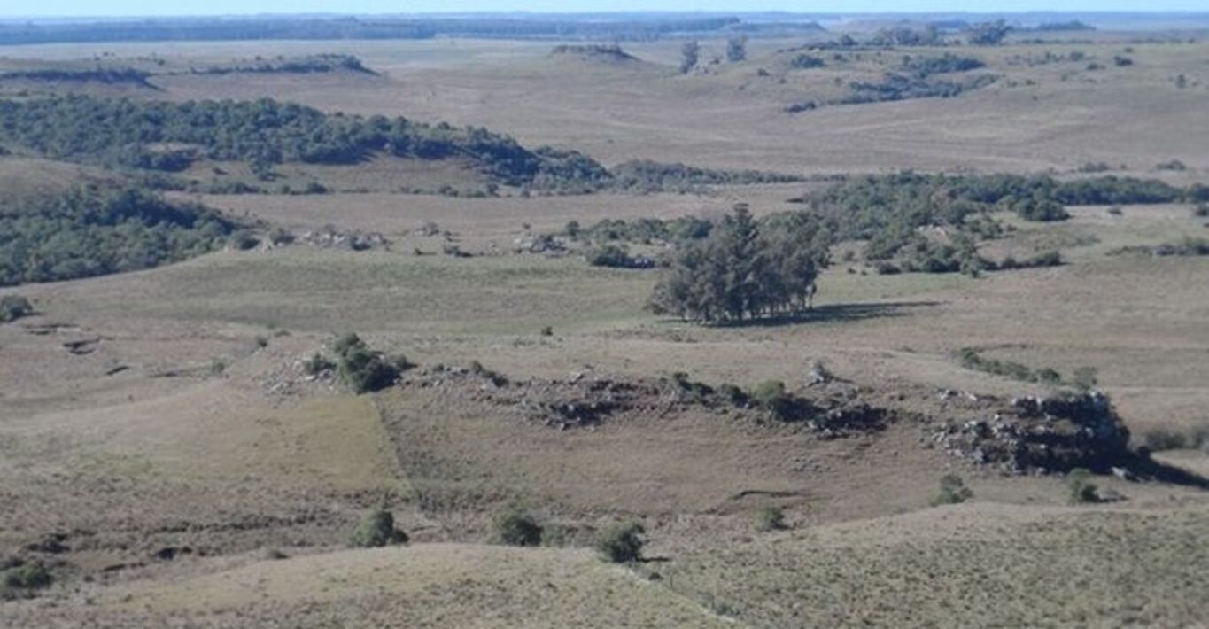 Estancia Ganadera en Tacuarembó