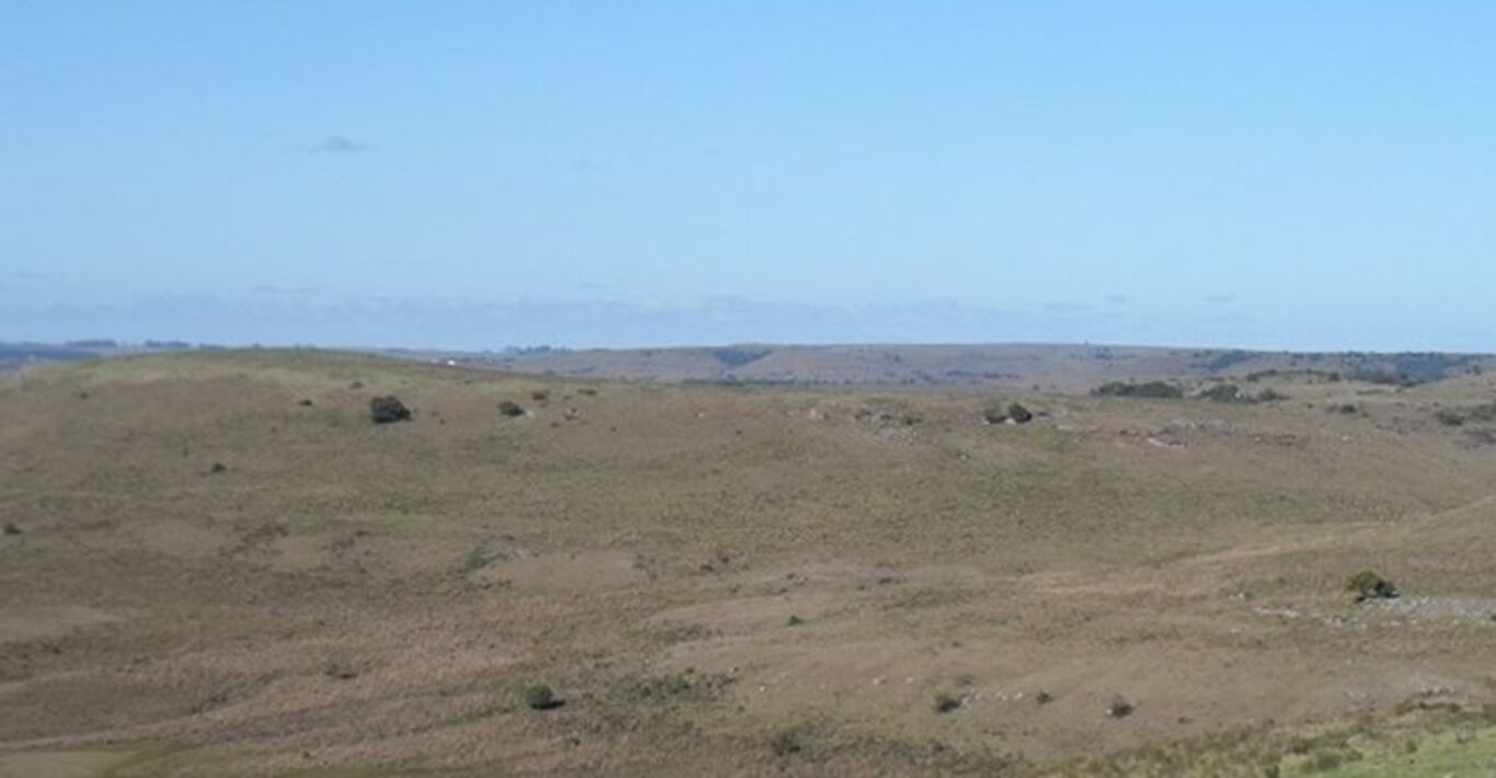 Estancia Ganadera en Tacuarembó — imagen 3