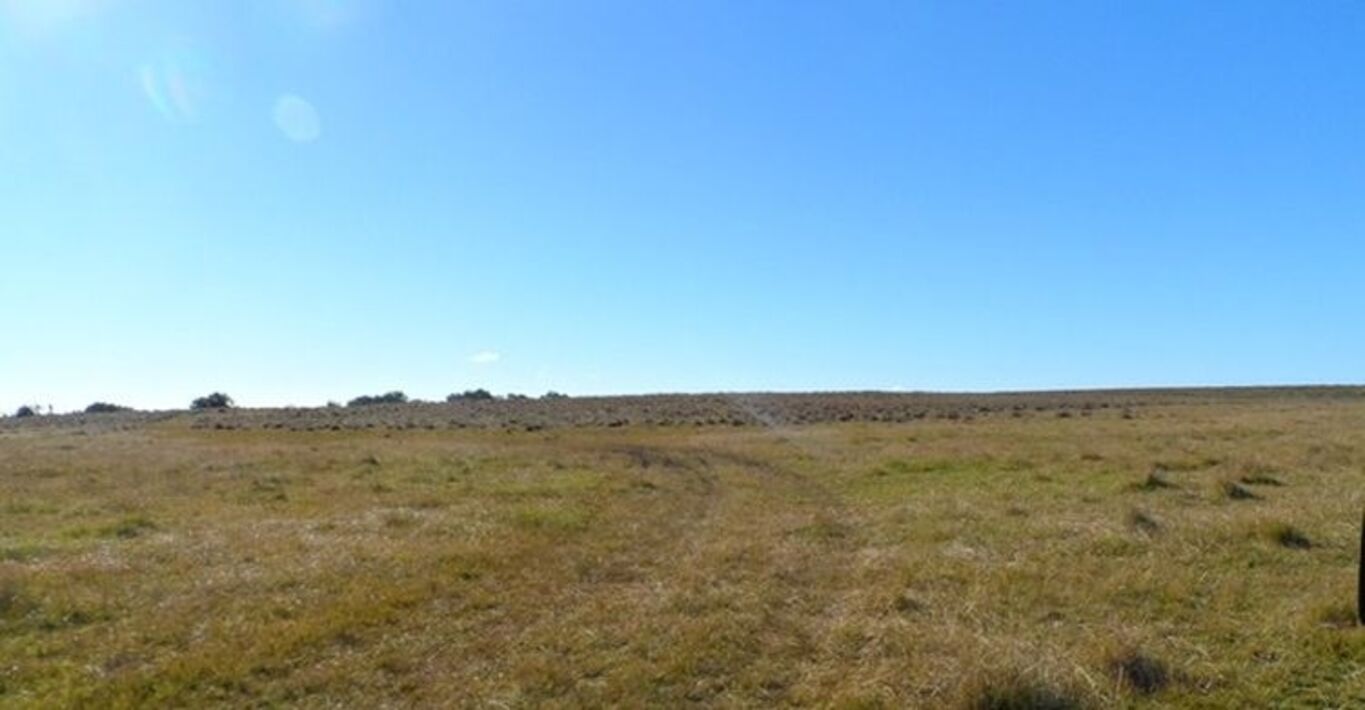 Estancia Ganadera en Tacuarembó — imagen 4