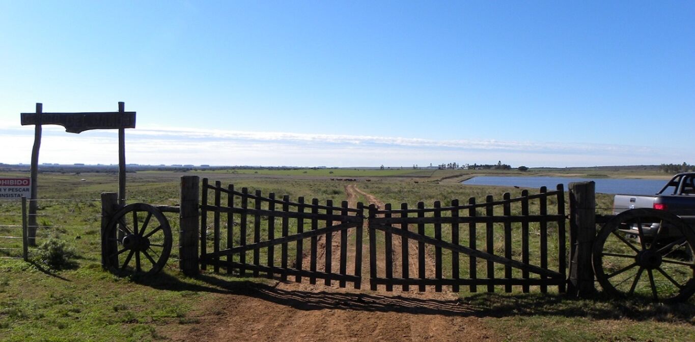 Campo en Tacuarembó — imagen 2